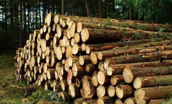 木材“涨价”触动木门商家敏感神经