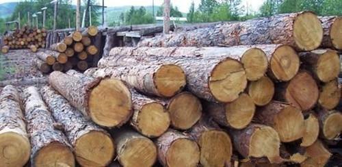 木材加工企业属于污染企业吗?